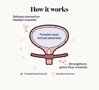 Bladder Build by LadyDry (68% OFF)